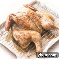 spatchcock roasted chicken with golden brown skin on a rimmed baking sheet