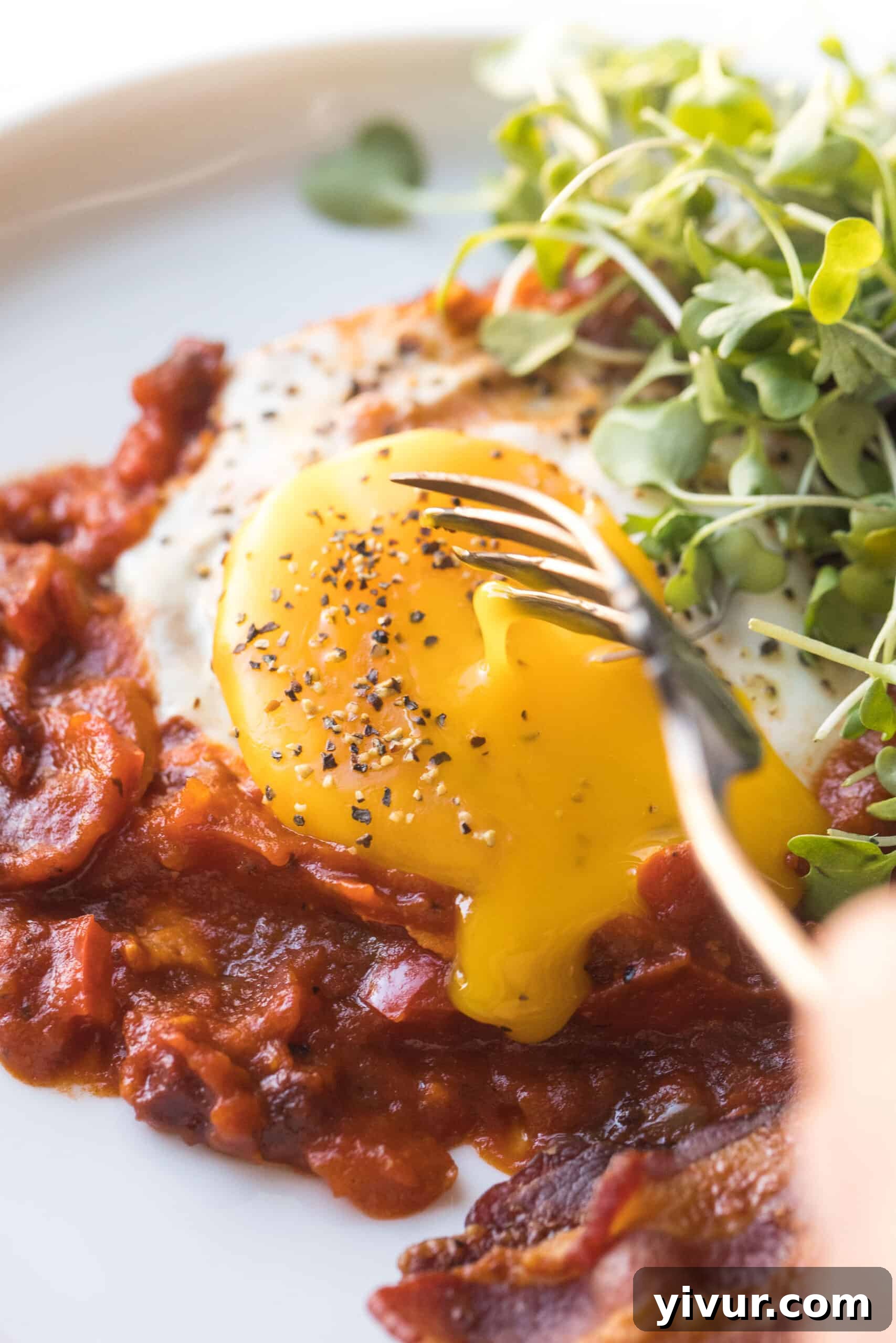 Keto Shakshuka: Flavorful Eggs in Robust Tomato Sauce 4 KETO SHAKSHUKA EGGS IN TOMATO SAUCE ON A WHITE ON A WHITE BACKGROUND