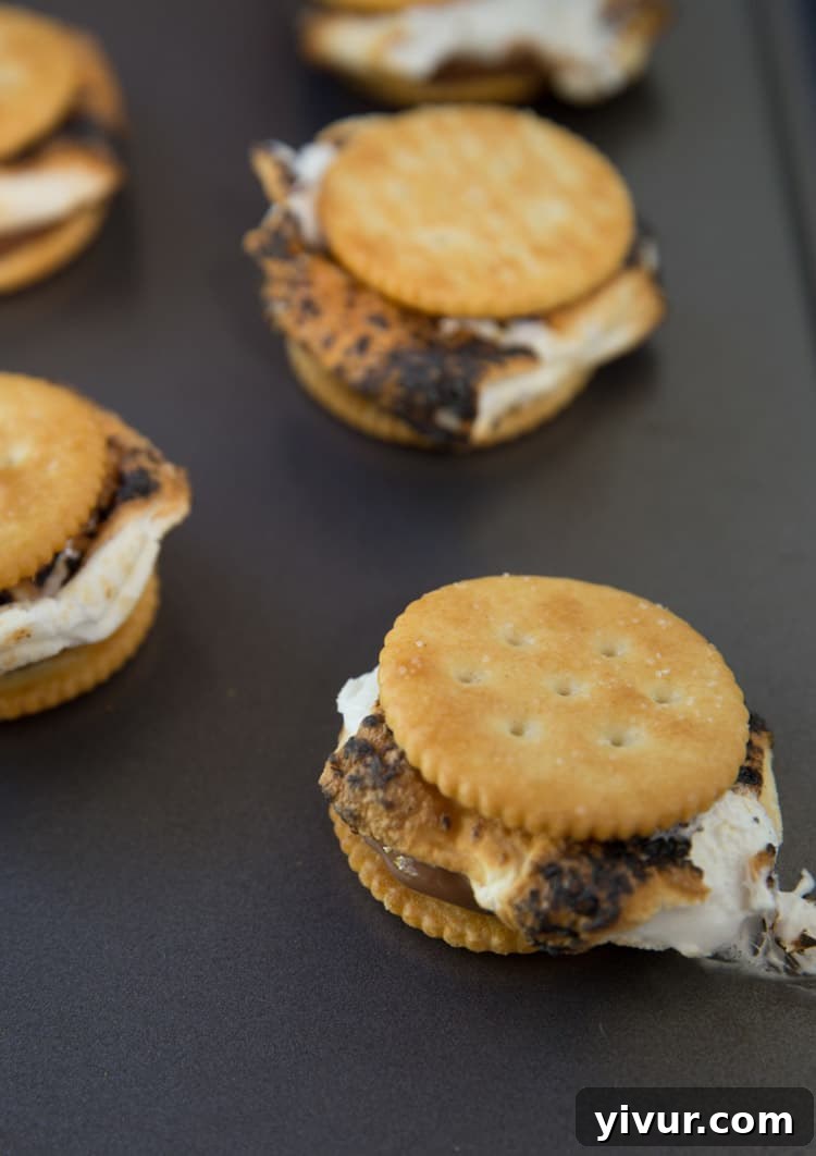 Salty Sweet Reese's S'mores with Ritz 3 The ultimate salty-sweet dessert: Reese's S'mores with toasted marshmallows and Ritz crackers