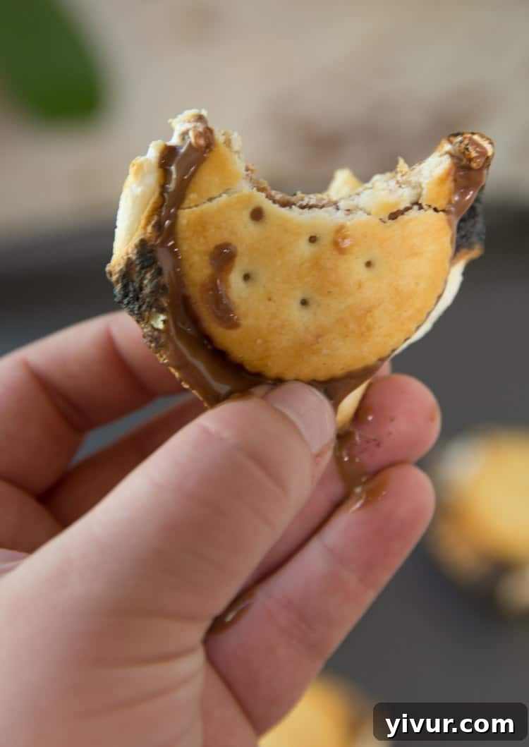 Salty Sweet Reese's S'mores with Ritz 4 Reese's Peanut Butter S'mores on Ritz Crackers: An elevated campfire dessert idea