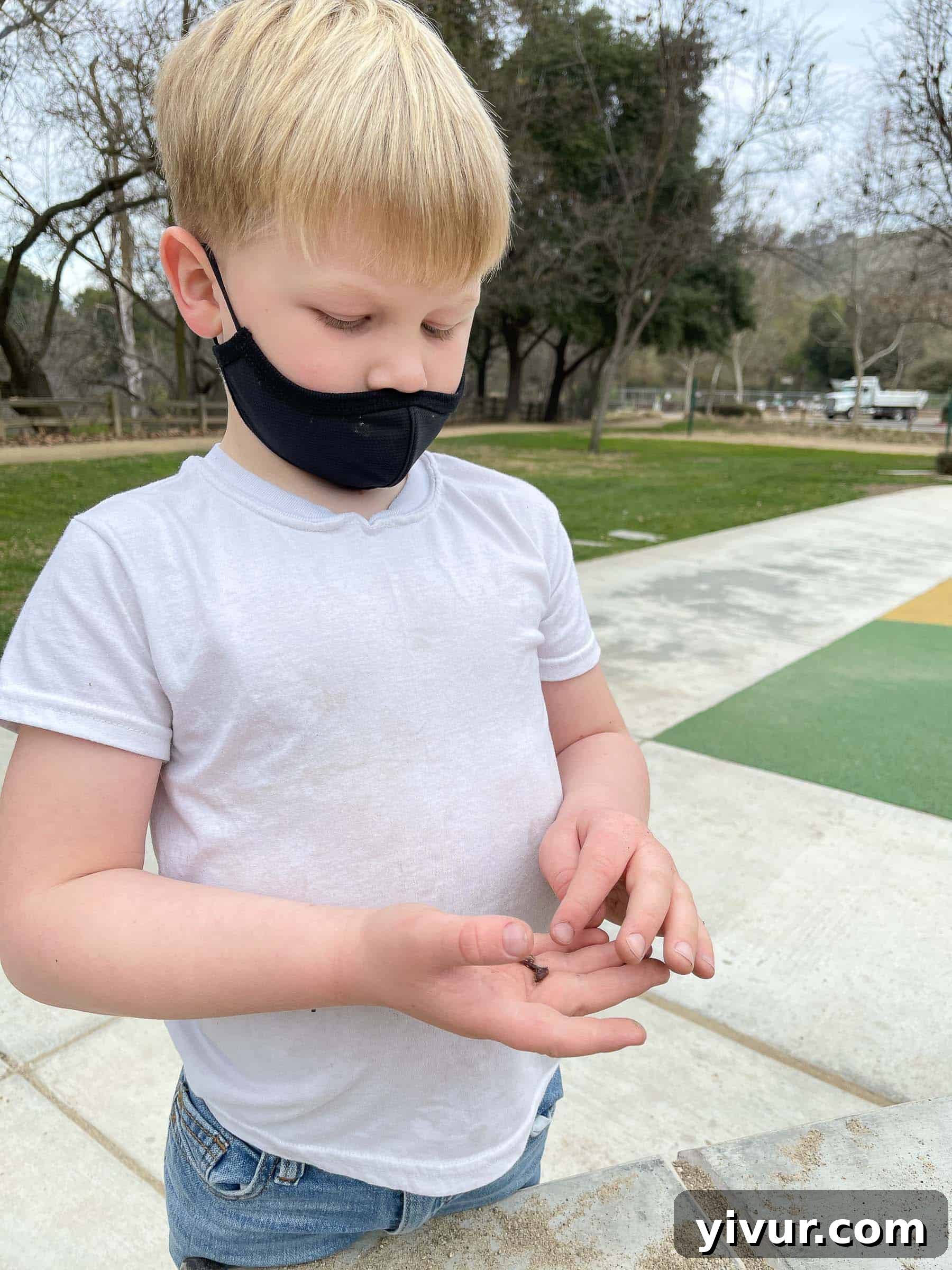 Son Josh holding a small worm he found at the park, looking curious about bringing it home as a pet
