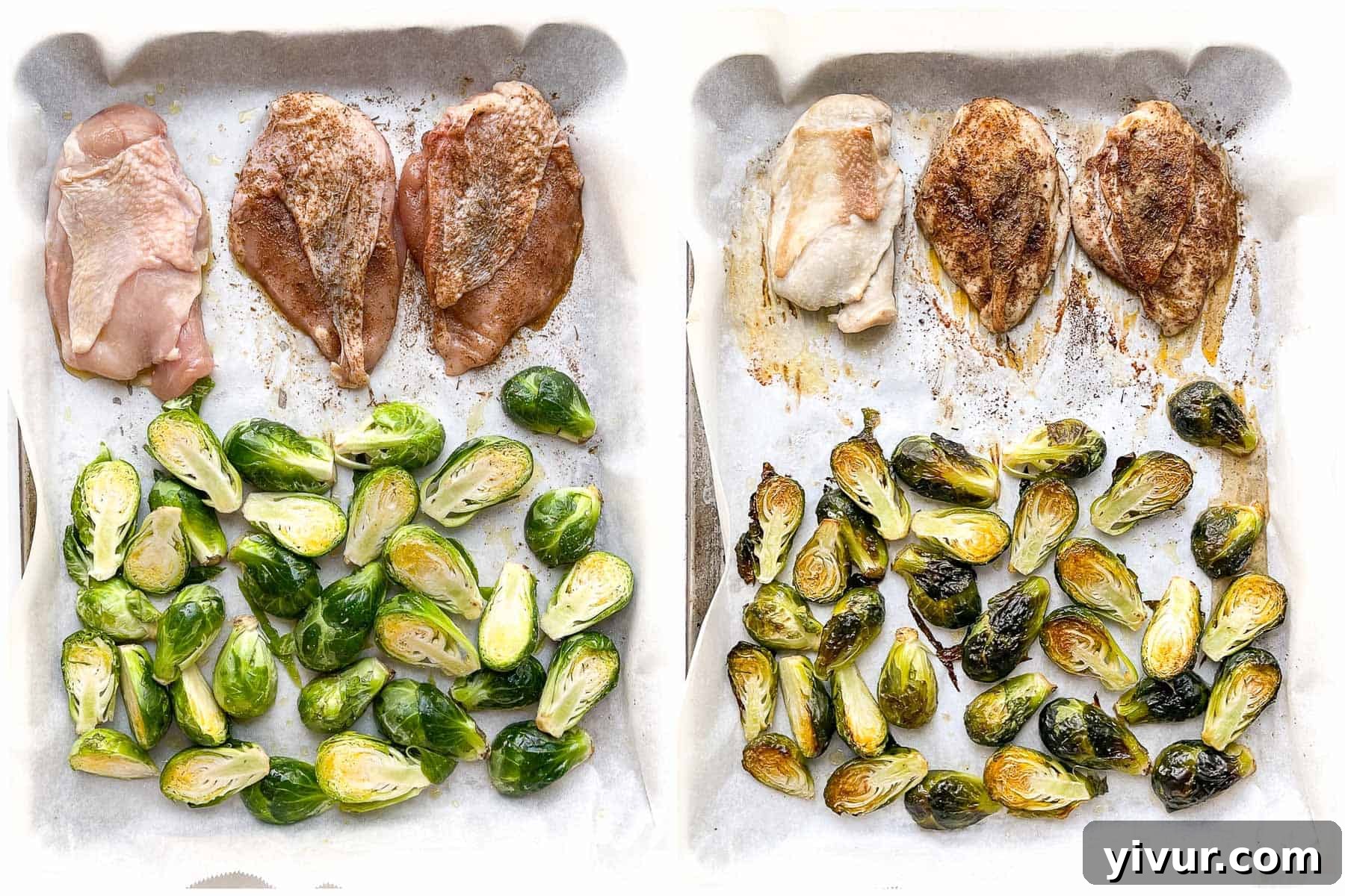 Close-up of jerk seasoned chicken and roasted brussels sprouts on a sheet pan
