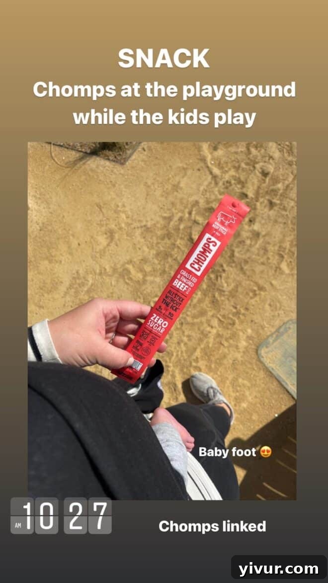 Edible March Adventures 23 Chomps beef stick snack