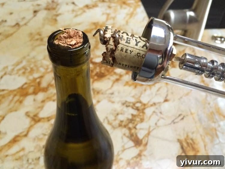 Broken Wine Cork