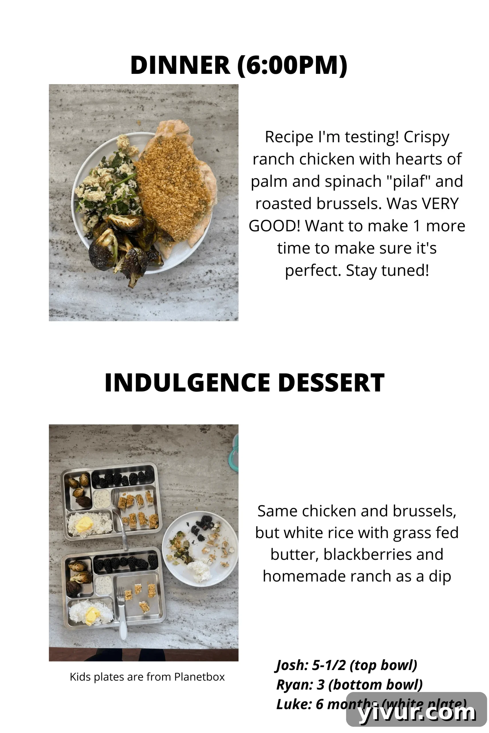 ButcherBox chicken with hearts of palm rice