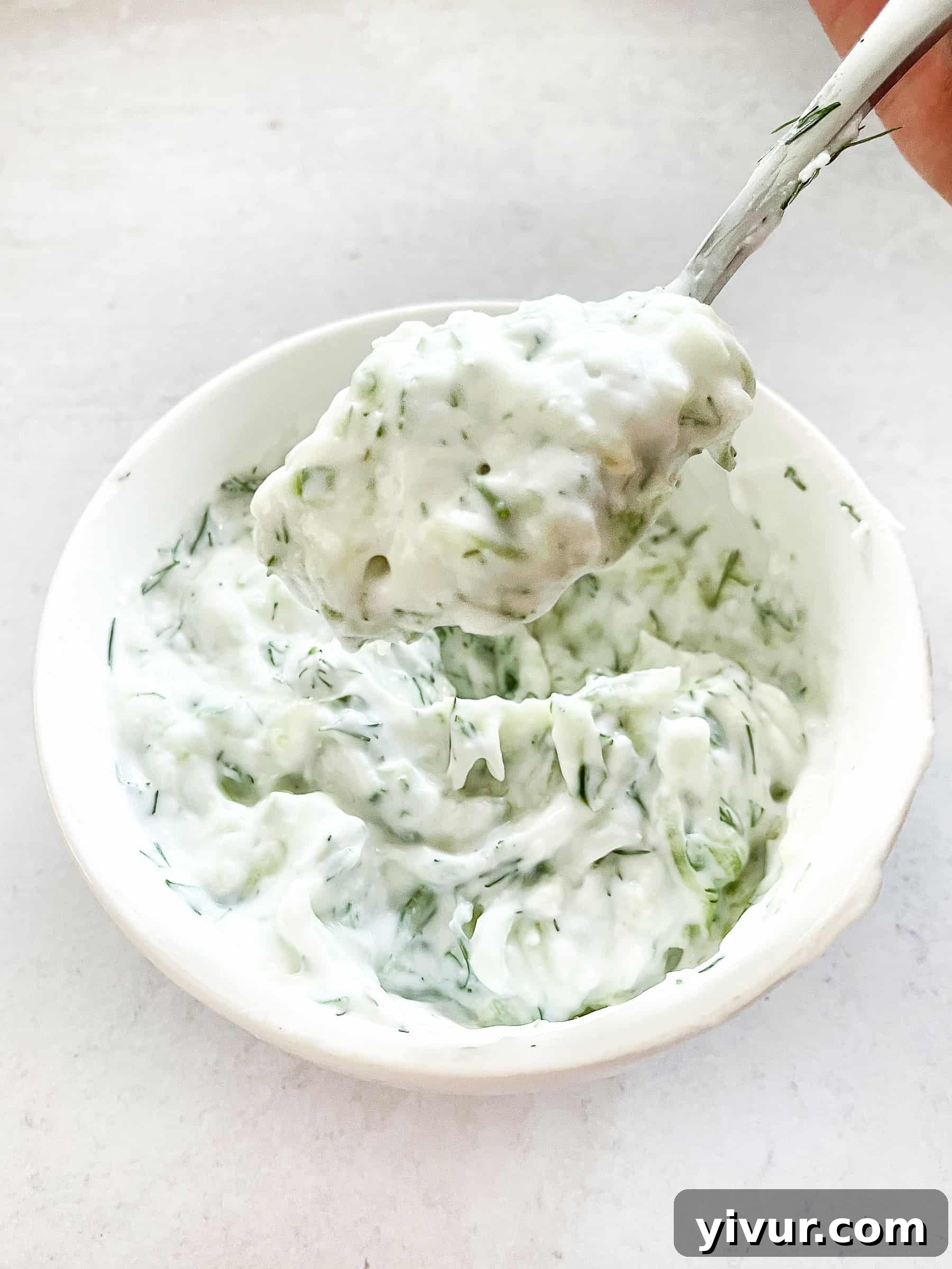 Creamy Keto Tzatziki Dip 2 Creamy Keto Tzatziki Sauce made with coconut yogurt, garnished with fresh dill.