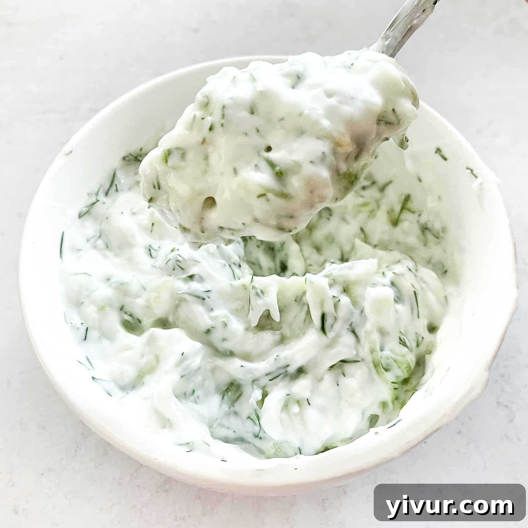 Creamy Keto Tzatziki Dip 4 Close-up of Keto Tzatziki Sauce, showing the texture and fresh dill. Great for dipping.