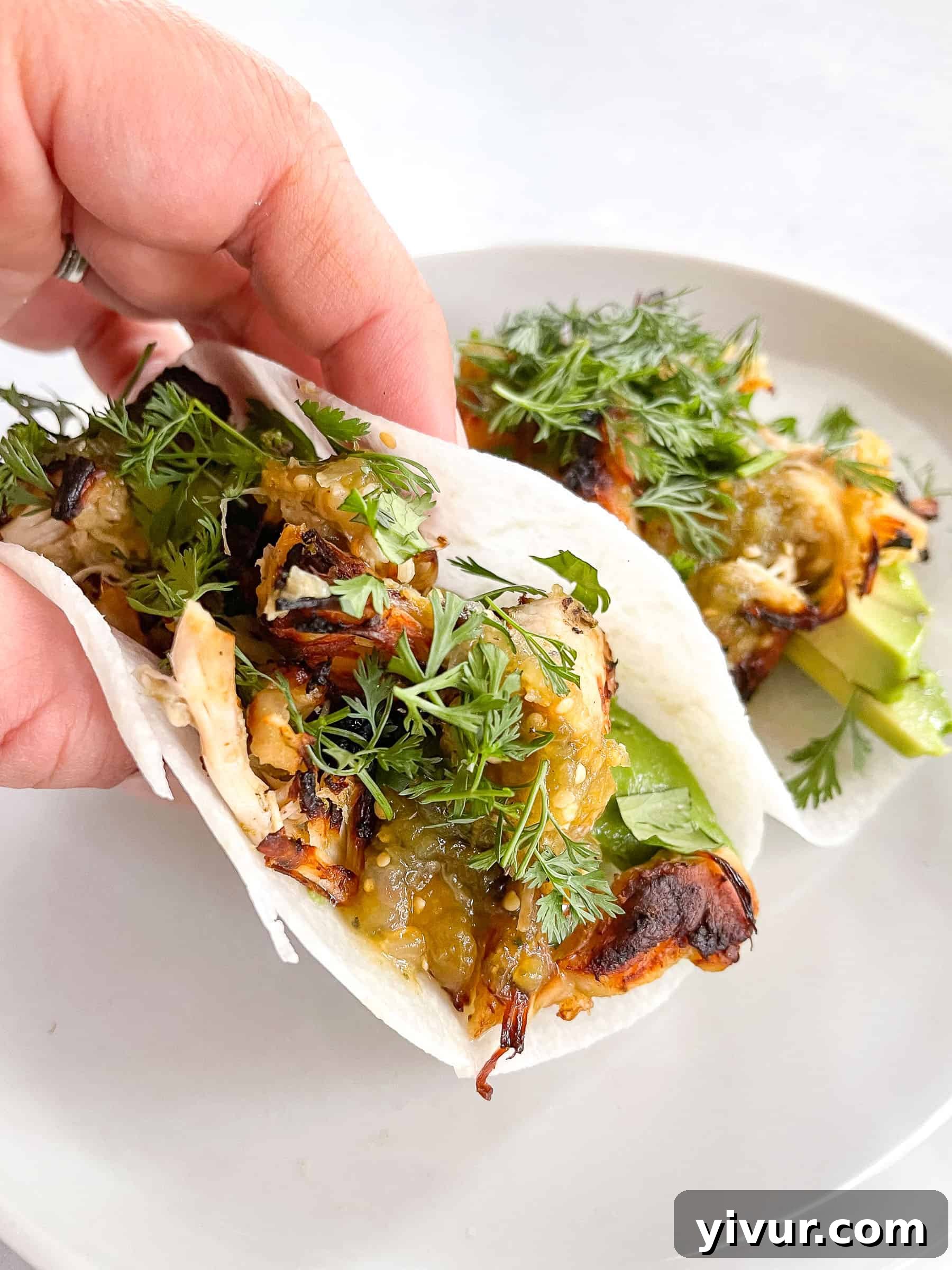 keto shredded chicken tacos on jicama tortilla wraps