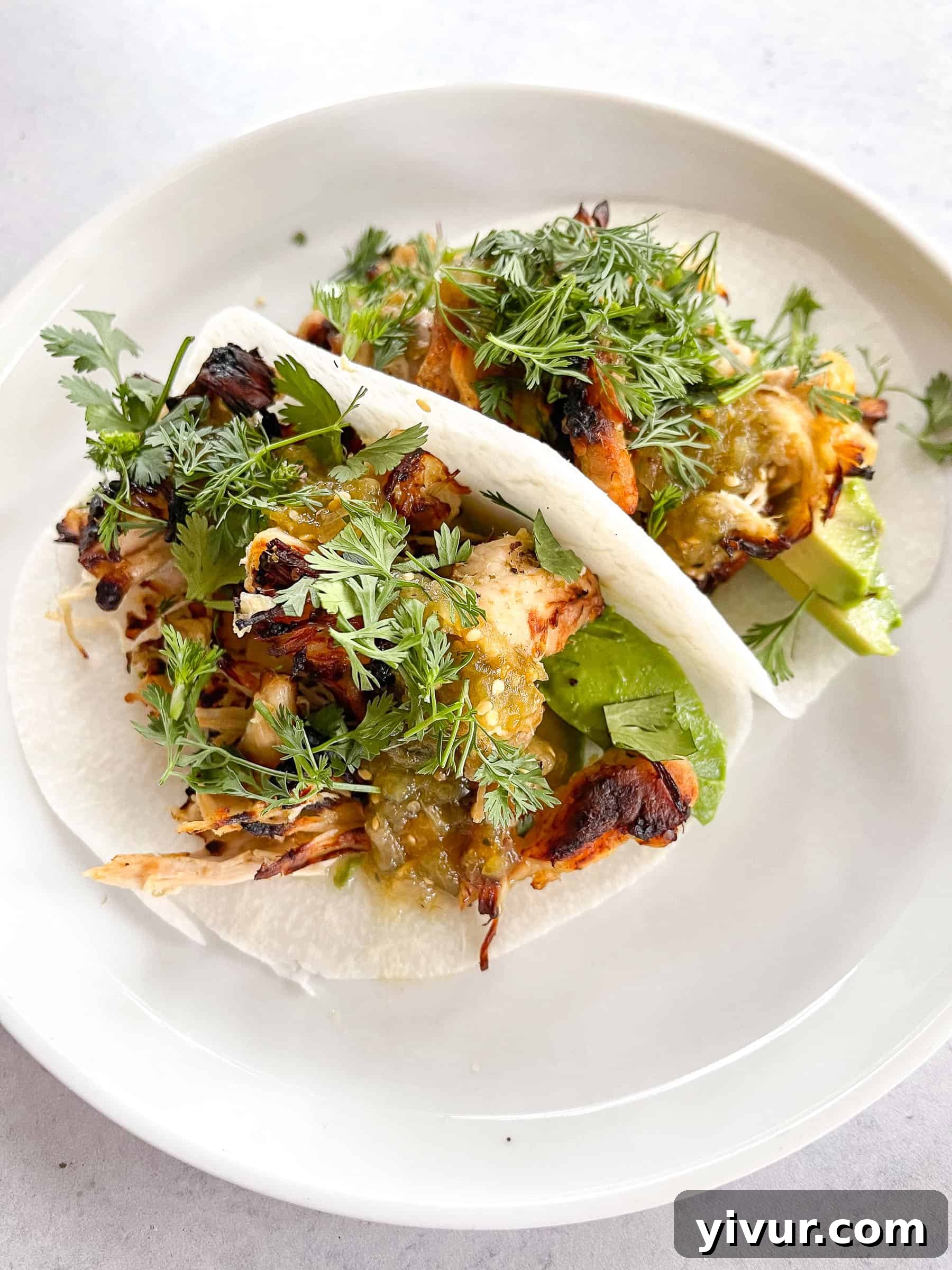 keto crispy verde chicken tacos on jicama wrap with cilantro on a white plate with a white background