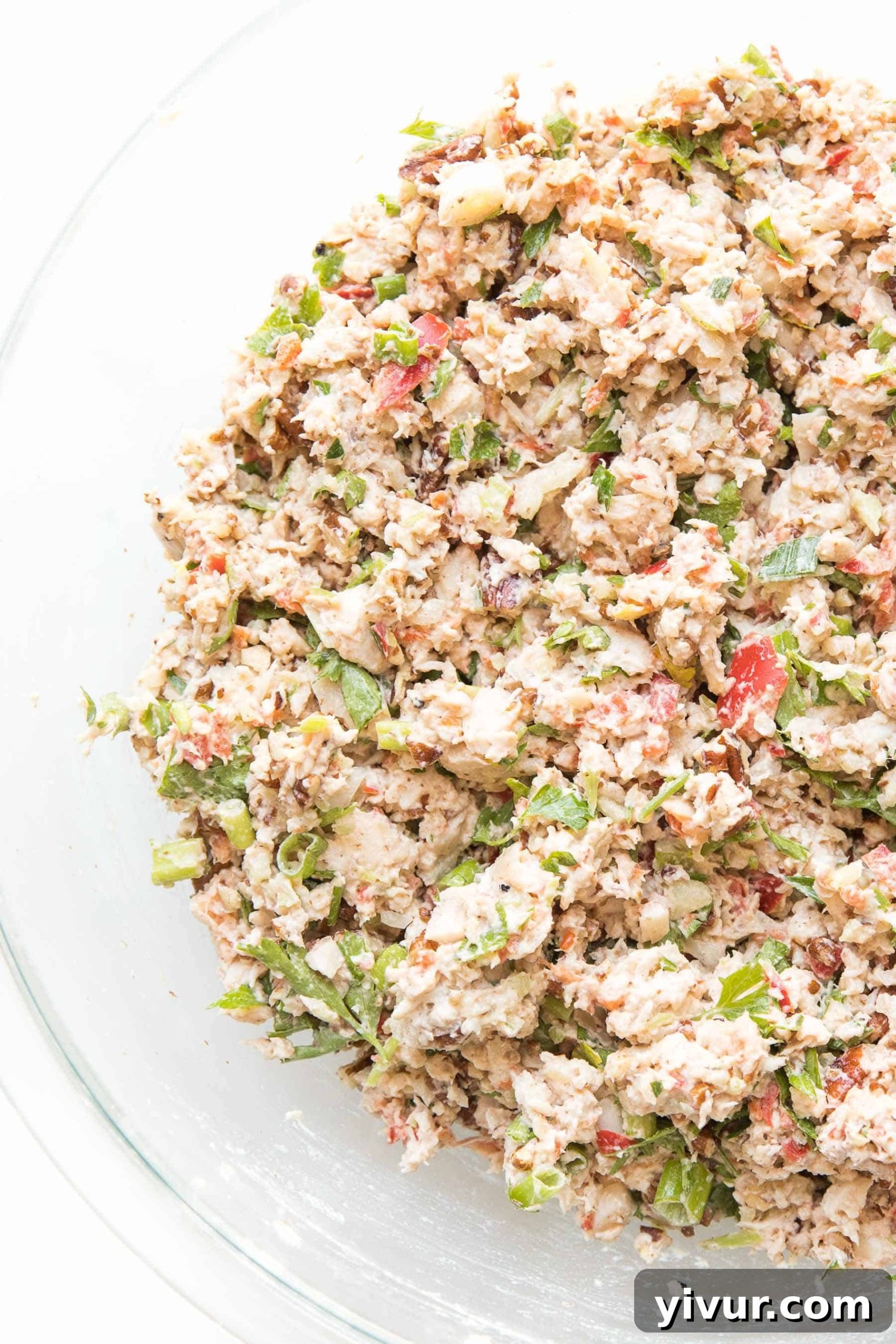 Creamy keto chicken salad in a bowl on a white background, perfect for a light lunch.