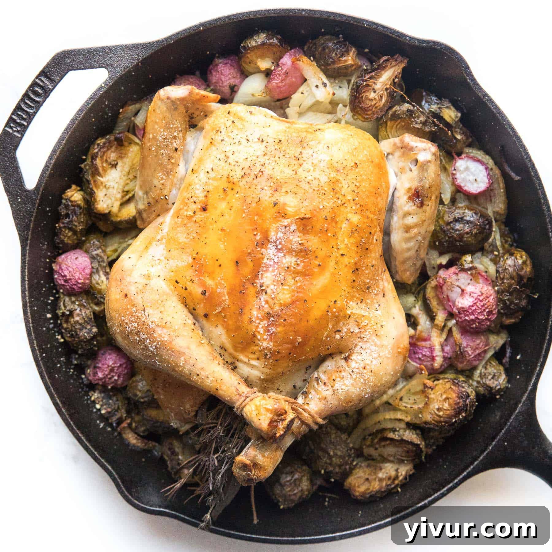 A perfectly roasted whole chicken, golden brown and juicy, ideal for a keto, paleo, or whole30 diet.