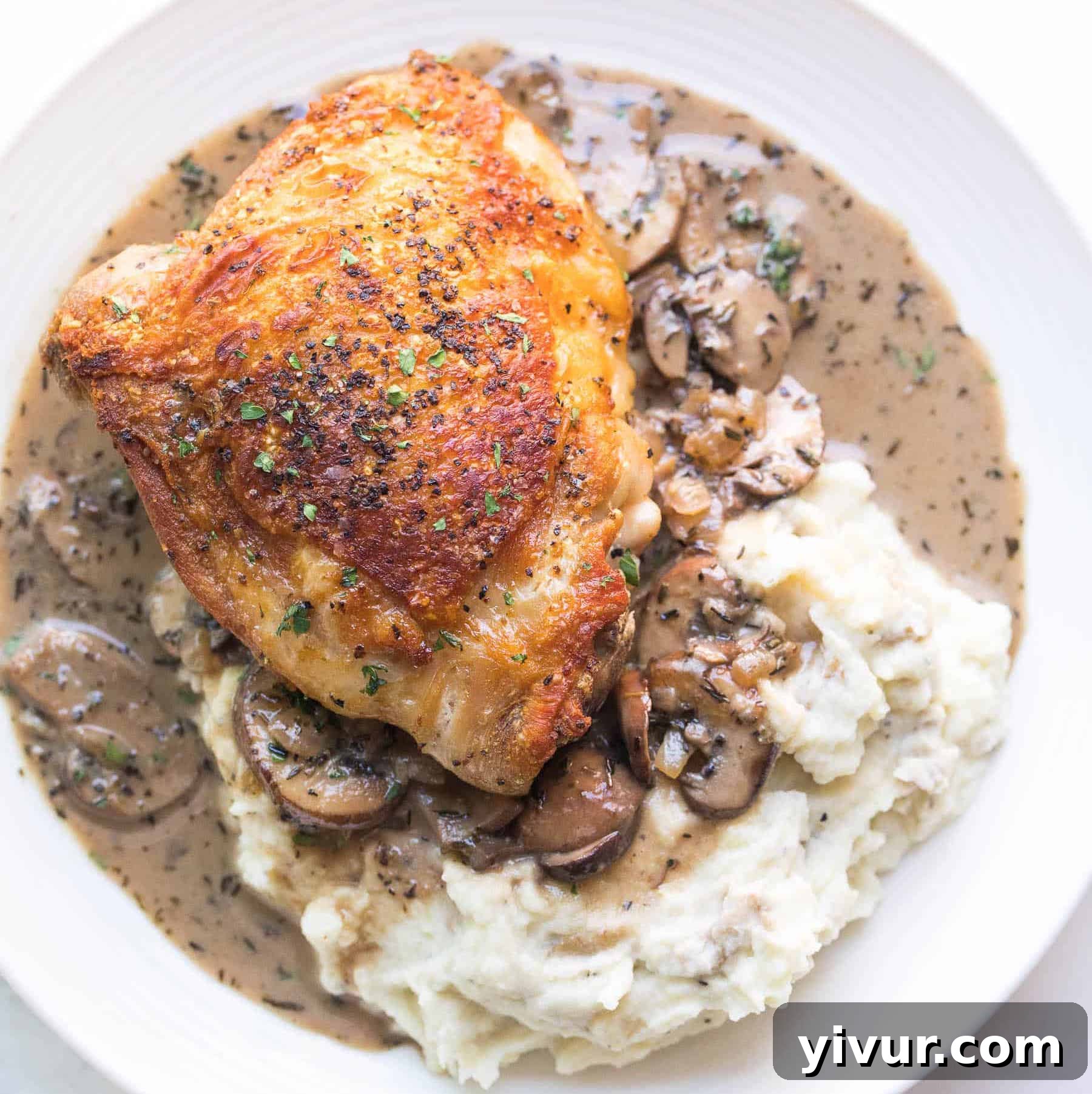 Succulent creamy mushroom chicken thighs, a delicious and satisfying keto, paleo, or Whole30 meal.