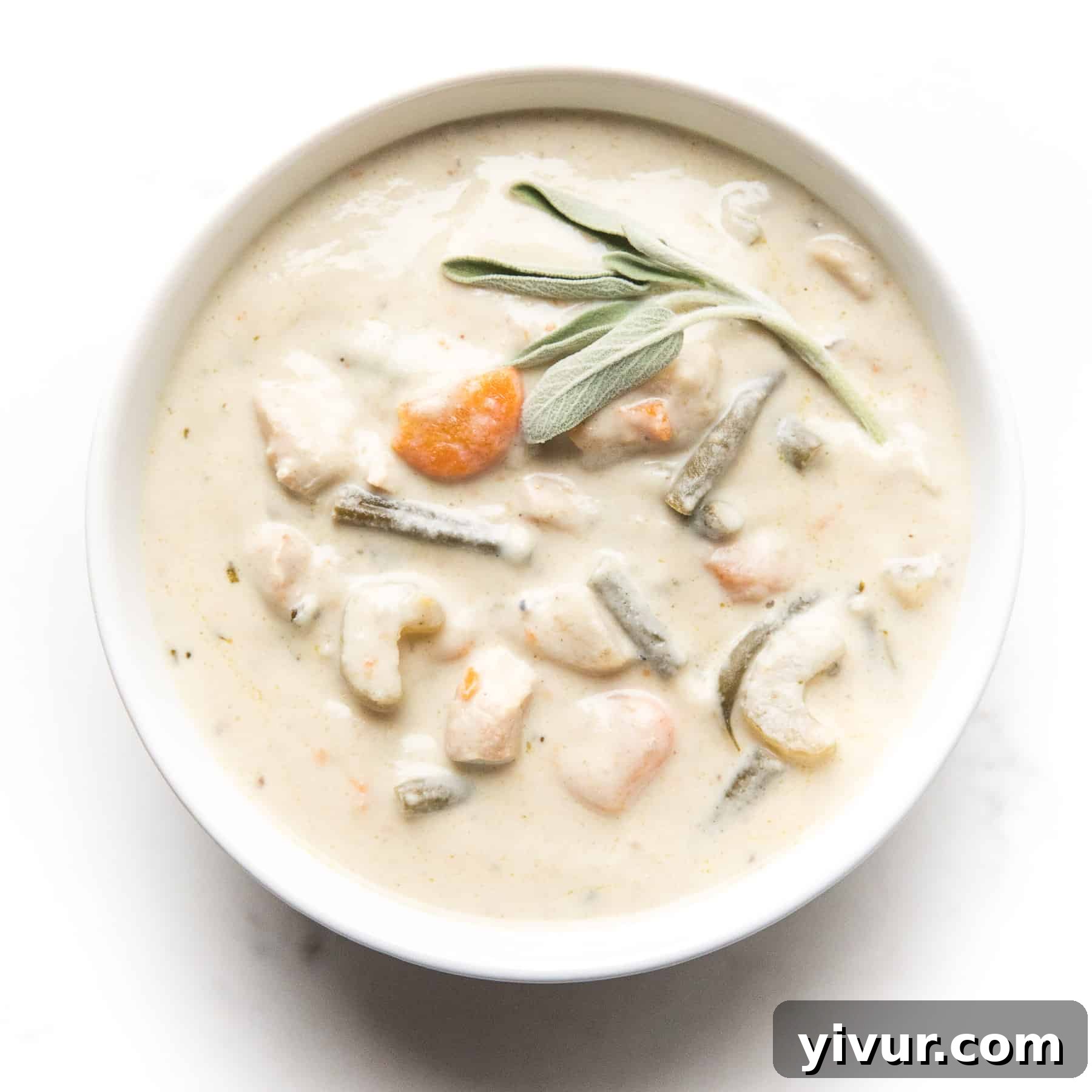 Rich and creamy chicken chowder in a white bowl with a white background, garnished with fresh sage on top.