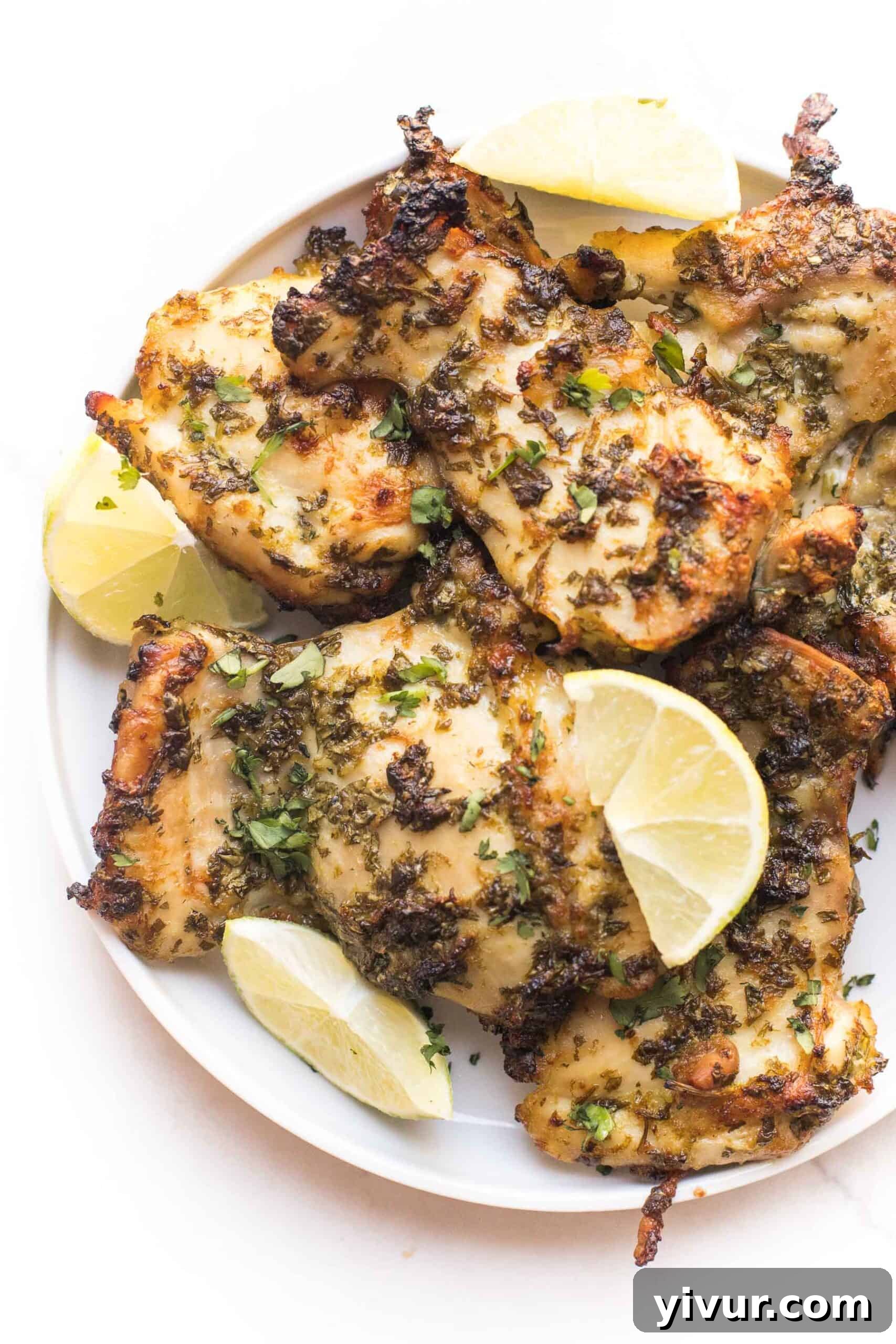 Whole30 + Keto cilantro lime chicken thighs on a white plate with a white background, garnished with fresh cilantro.