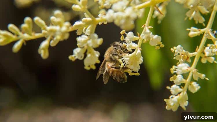 Five Fresh Finds for Friday 5 Bee