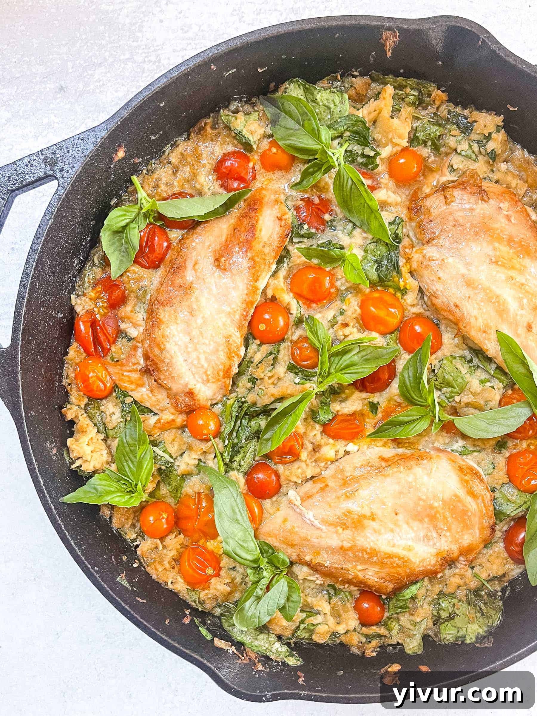 keto creamy chicken and tomato casserole in a black cast iron skillet with a white background