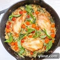 keto creamy chicken and tomato casserole in a black cast iron skillet with a white background