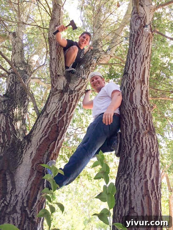 Boys Hanging Lights - Creative Outdoor Lighting Solutions