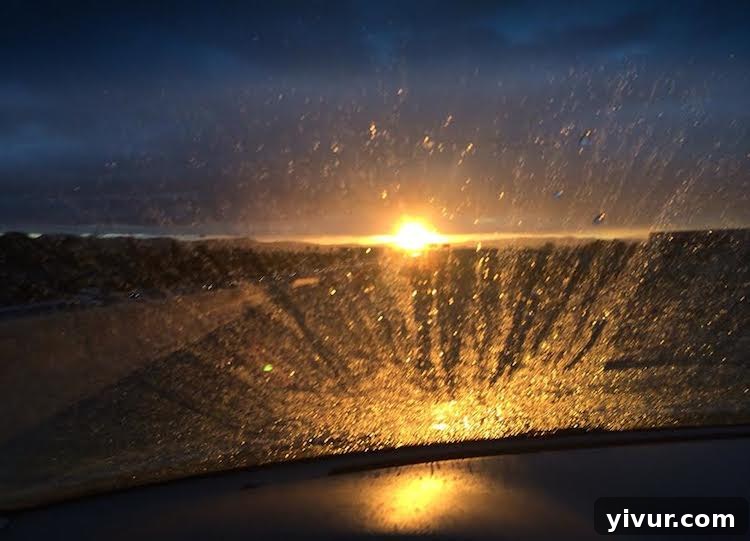 Rainy Sunrise