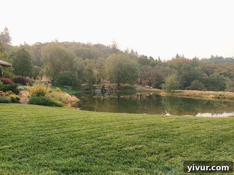 Processed with VSCOcam with c1 preset