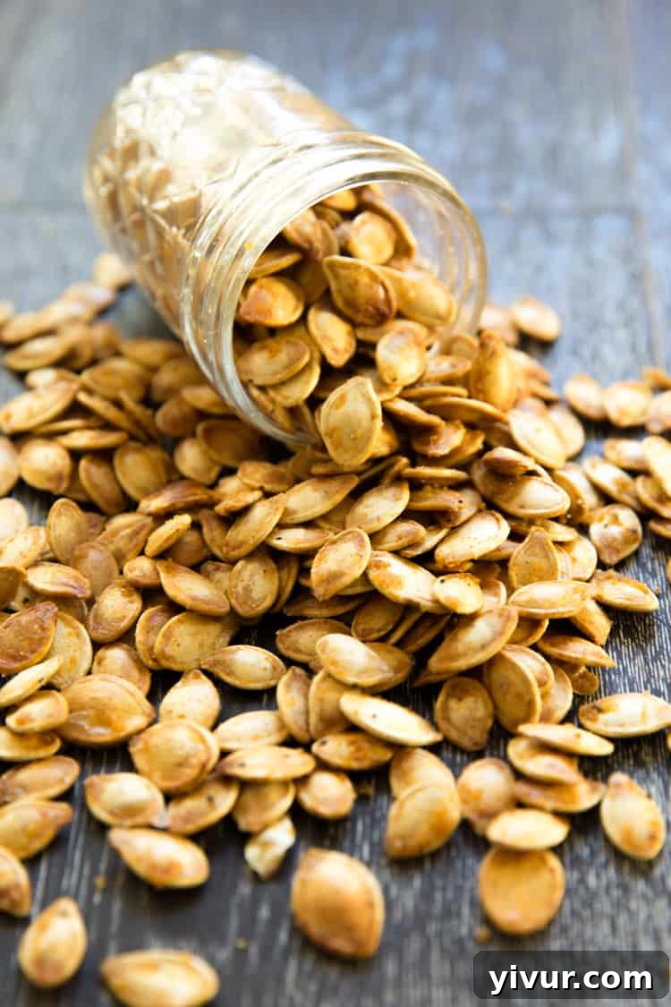 Fiery Roasted Pumpkin Seeds 2 Roasted Spicy Seasoned Pumpkin Seeds - a delicious, crunchy snack