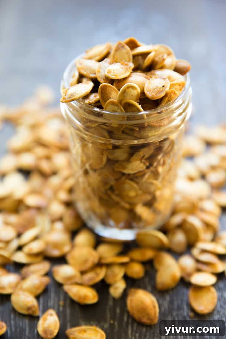 Fiery Roasted Pumpkin Seeds 3 Roasted Spicy Seasoned Pumpkin Seeds, close-up with delicious seasoning