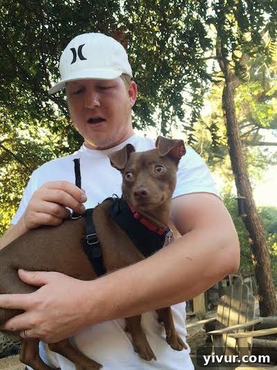 Max the dog chewing through his leash