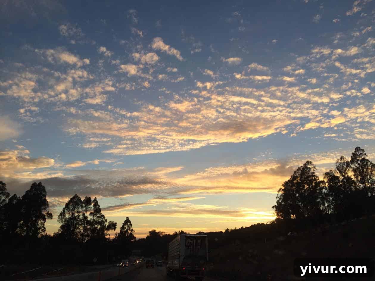 A breathtaking sunset painting the sky with vibrant hues of orange, purple, and red over a tranquil horizon, reflecting on calm water.