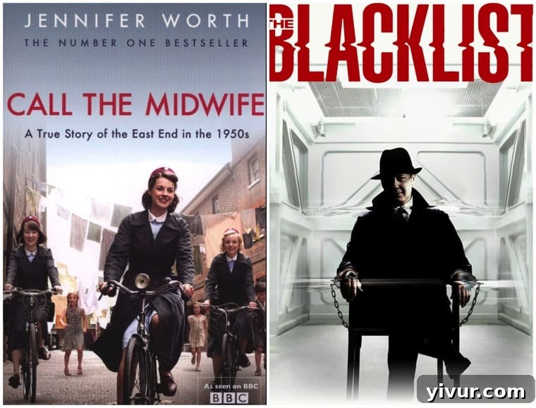 Netflix Binge-Watching Guide