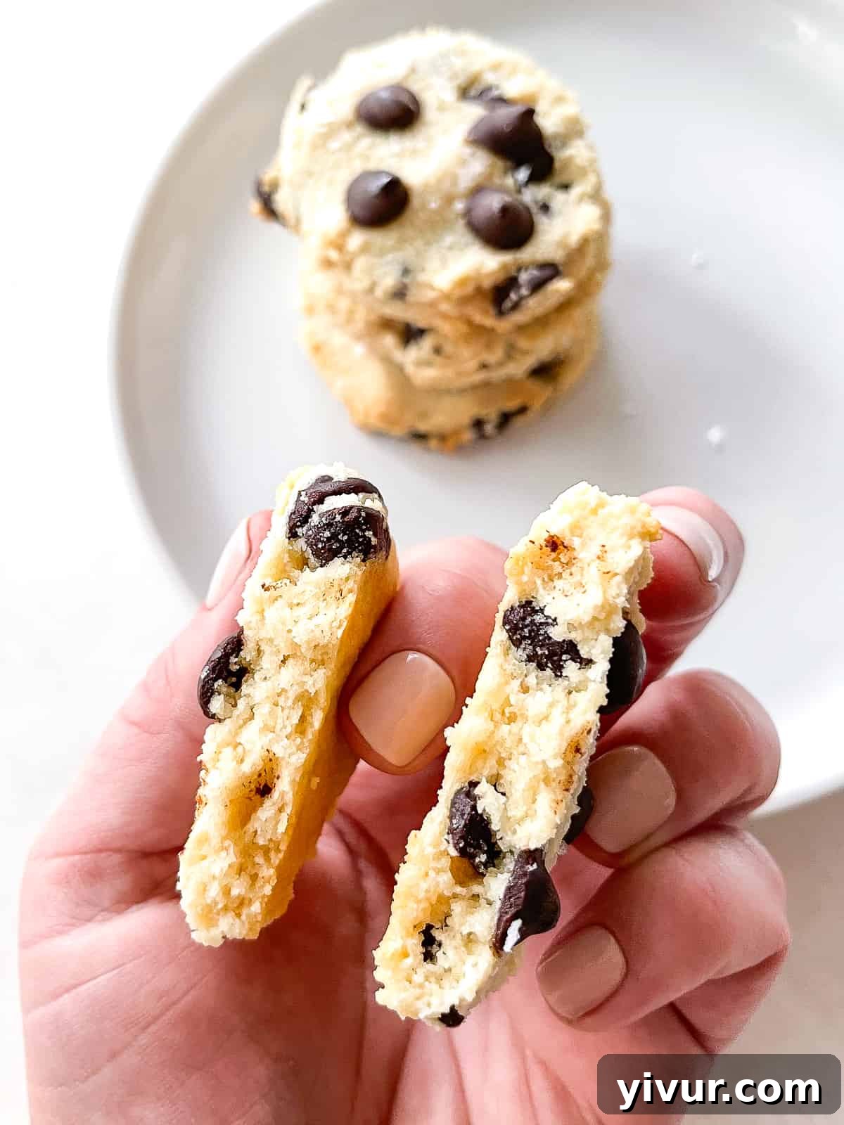 a close-up internal view of a chocolate chip cookie, showcasing its soft, tender crumb and melted chocolate chips