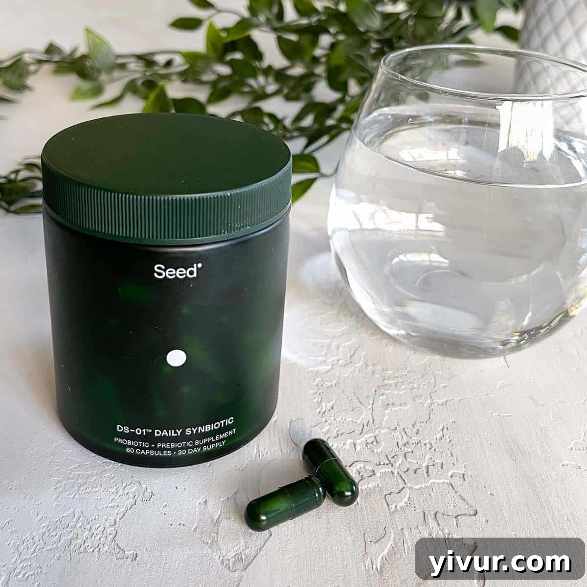 Seed Probiotics: My Year-Long Gut Health Transformation 2 A photo of Seed probiotics on a white table with a glass of water, symbolizing a commitment to daily wellness and hydration.