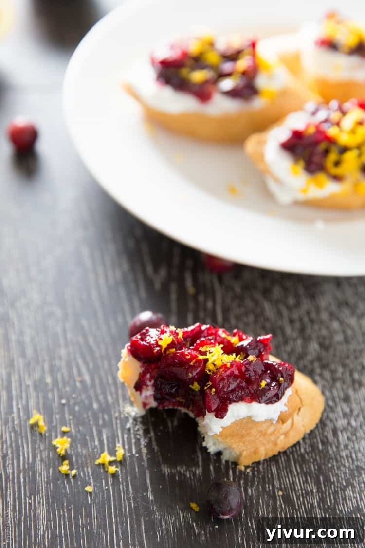 Festive Cranberry Orange Toasts 4 Assembled Roasted Cranberry and Orange Crostini with orange zest