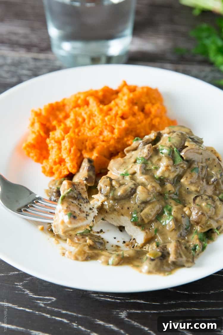 Creamy Chicken Fricassee with Mushrooms - Ideal for quick and easy dinners
