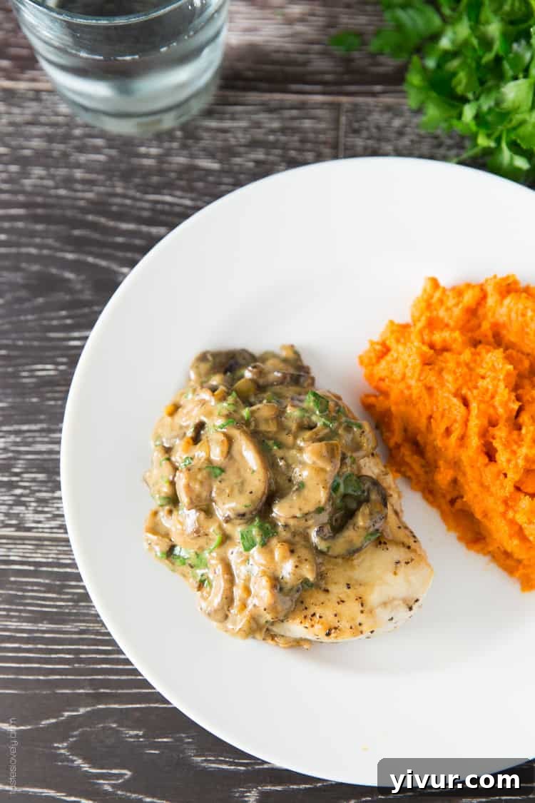 Savory Chicken and Mushroom Fricassee - Homemade comfort food recipe