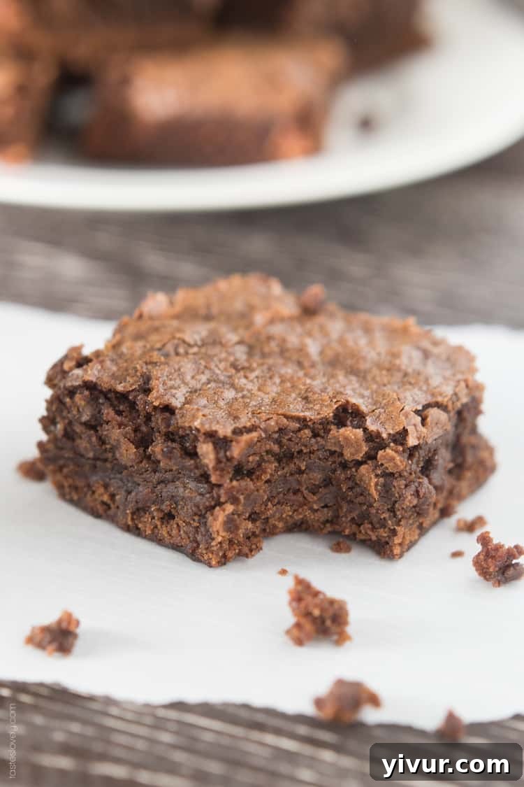 Homemade Fudgy Chewy Brownies: A perfectly cut square brownie, showing its moist, dense interior and a shiny, slightly crackled top. The texture is visibly fudgy, and the rich chocolate color is inviting, highlighting the homemade quality.