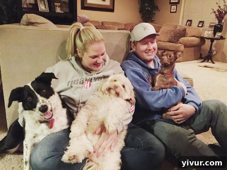 Our adorable canine companions strike a pose for the camera