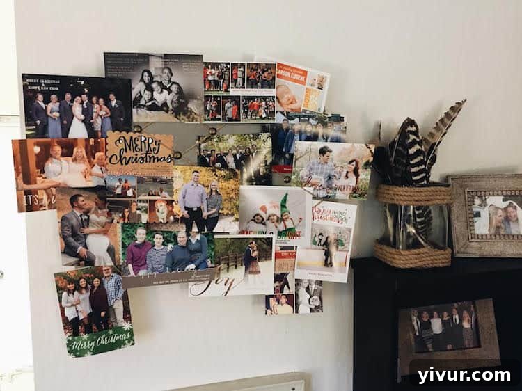 Collection of Holiday Christmas Cards Featuring Professional Photography