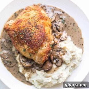 Keto Creamy Mushroom Chicken Thighs, showcasing golden-brown chicken with a rich, white mushroom sauce.