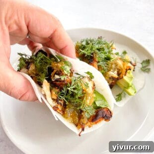 A hand holding a vibrant shredded chicken taco in a jicama tortilla wrap, garnished with cilantro and avocado.