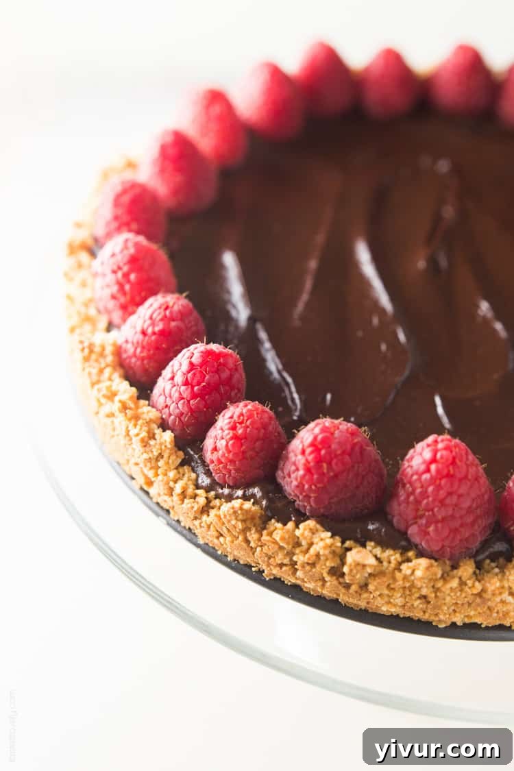 A tantalizing close-up of a slice of Healthy Chocolate Tart, showcasing its dense, smooth filling and the perfect golden crust. Perfect for Paleo, Vegan, Gluten-Free, and Dairy-Free lifestyles.