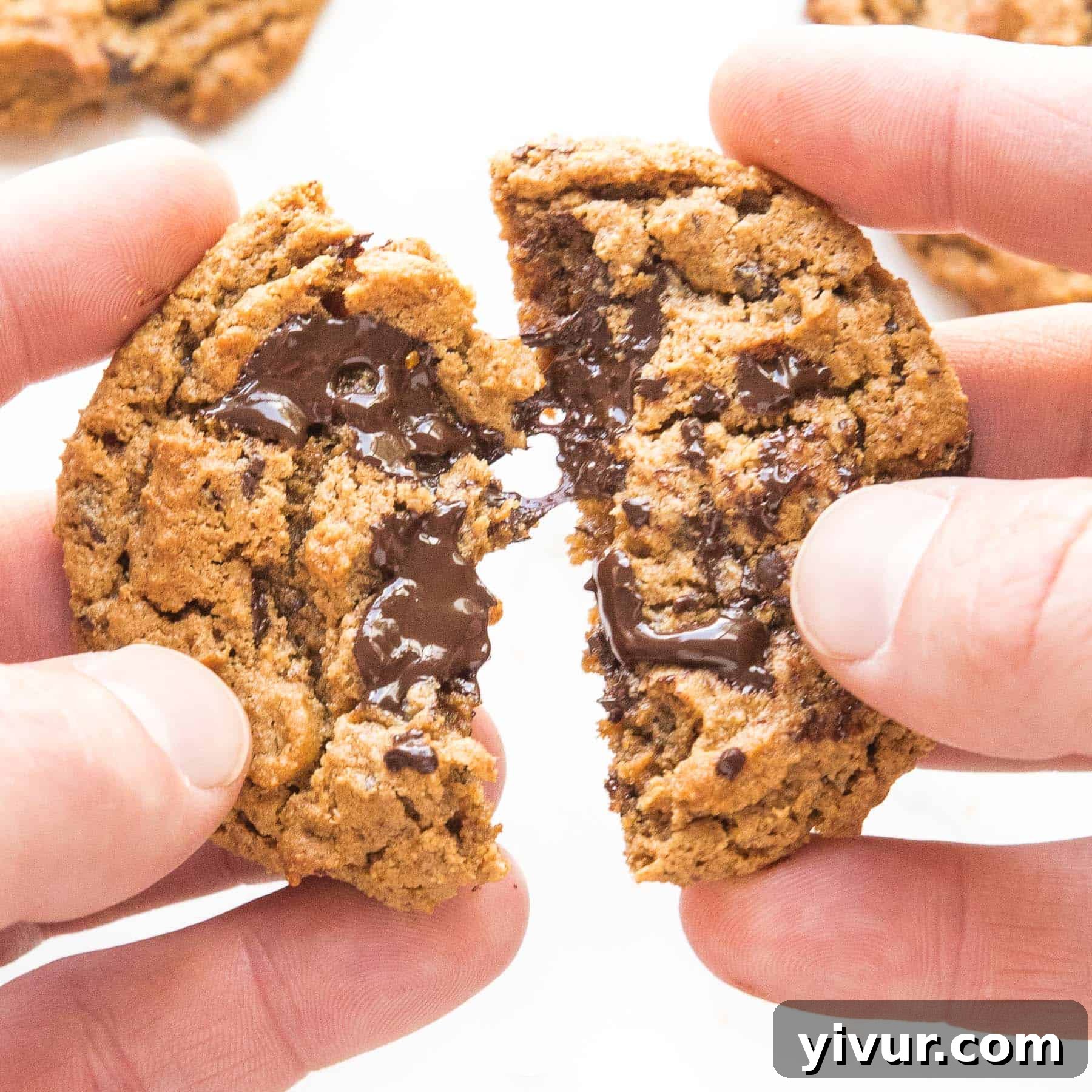 Make Dad's Day Delicious: Keto Recipes and Gift Ideas for Fathers Day 2022 22 Freshly baked keto chocolate chip cookies on a cooling rack.