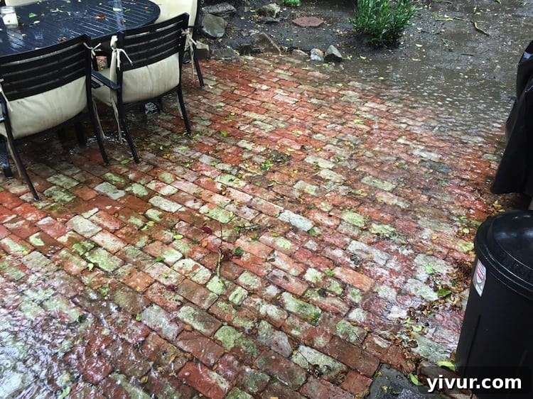 Puddle in Backyard - Large puddle on an uneven brick patio in California after heavy rain, highlighting drainage issues.