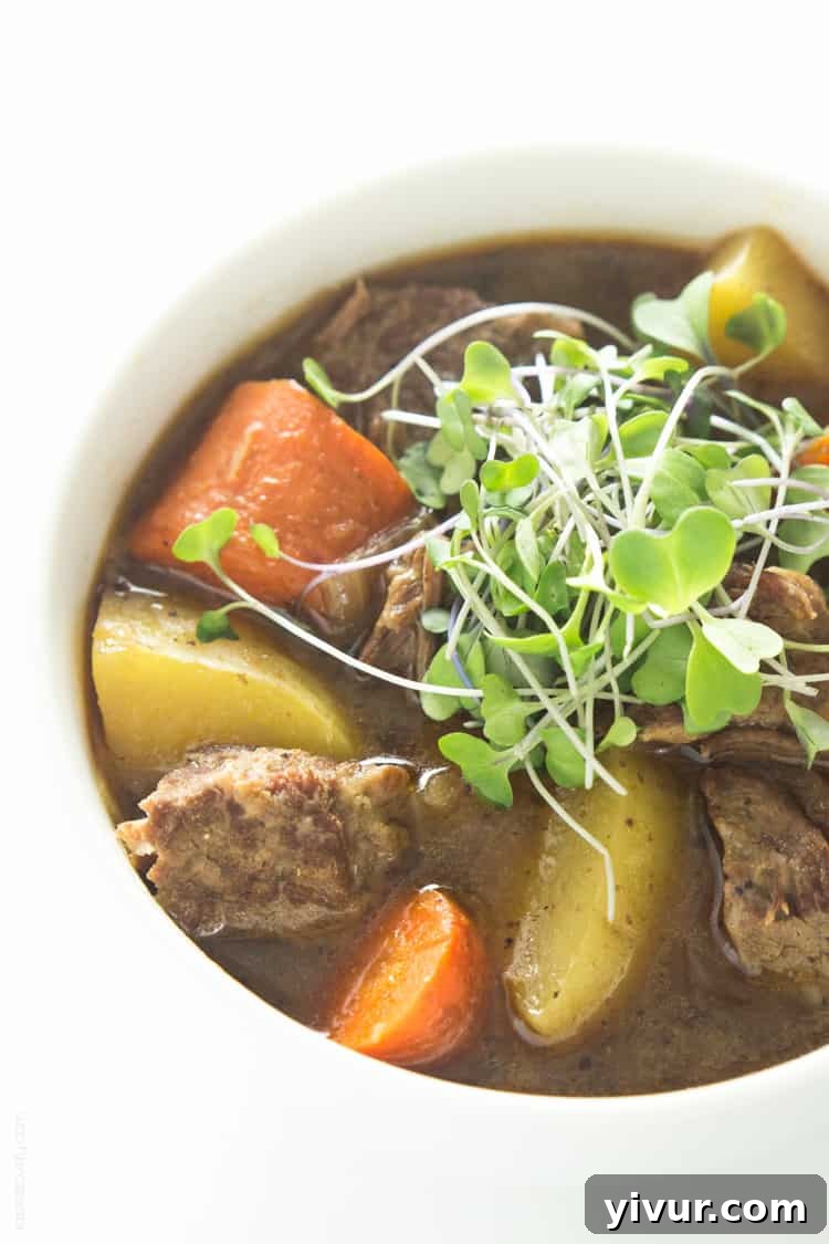 Slow Cooker Irish Guinness Beef Stew ingredients - raw beef, carrots, potatoes, onions, garlic