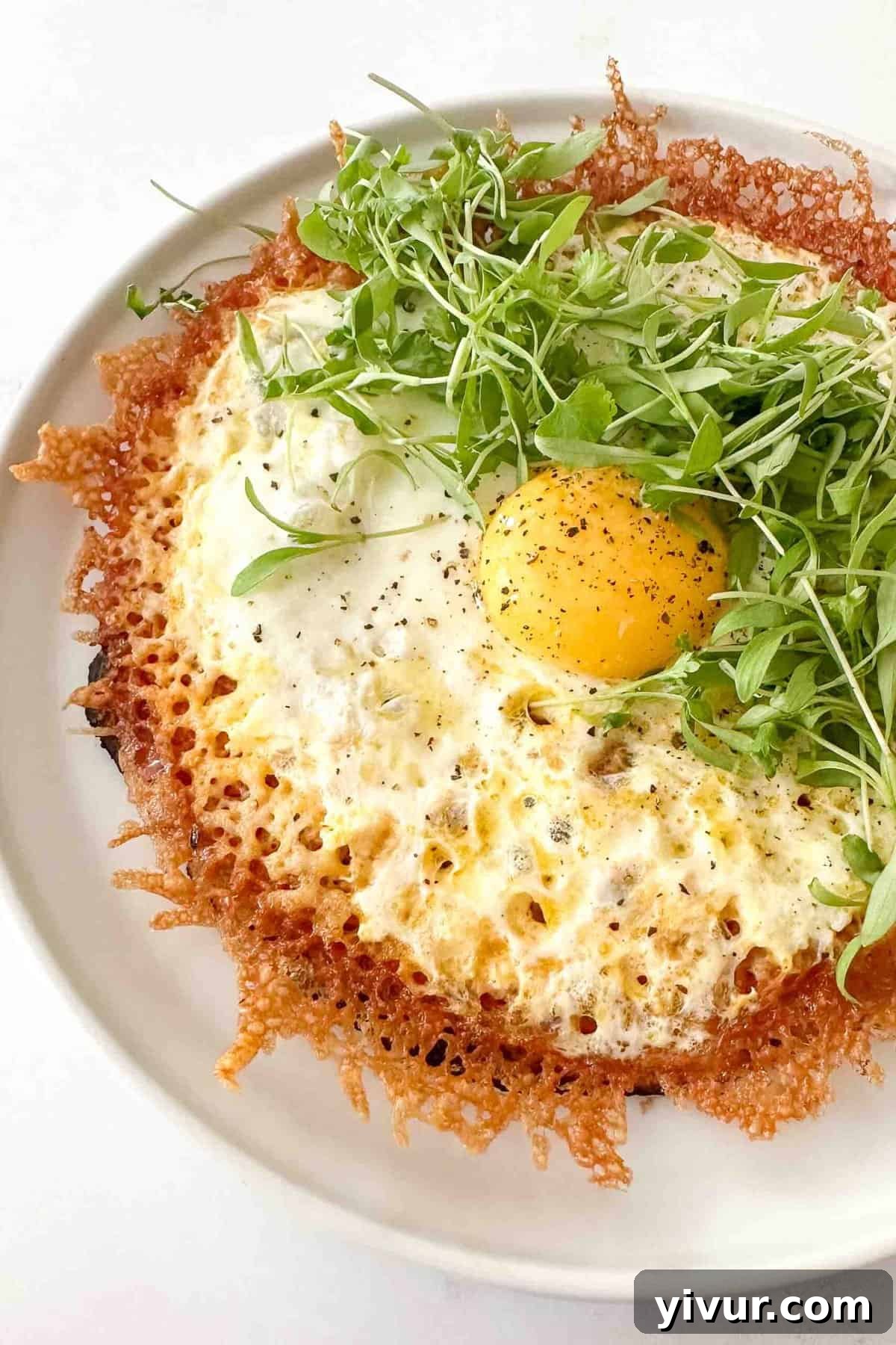 A close-up photo of a crispy fried egg taco topped with fresh microgreens, showcasing the golden cheese crust and runny yolk.