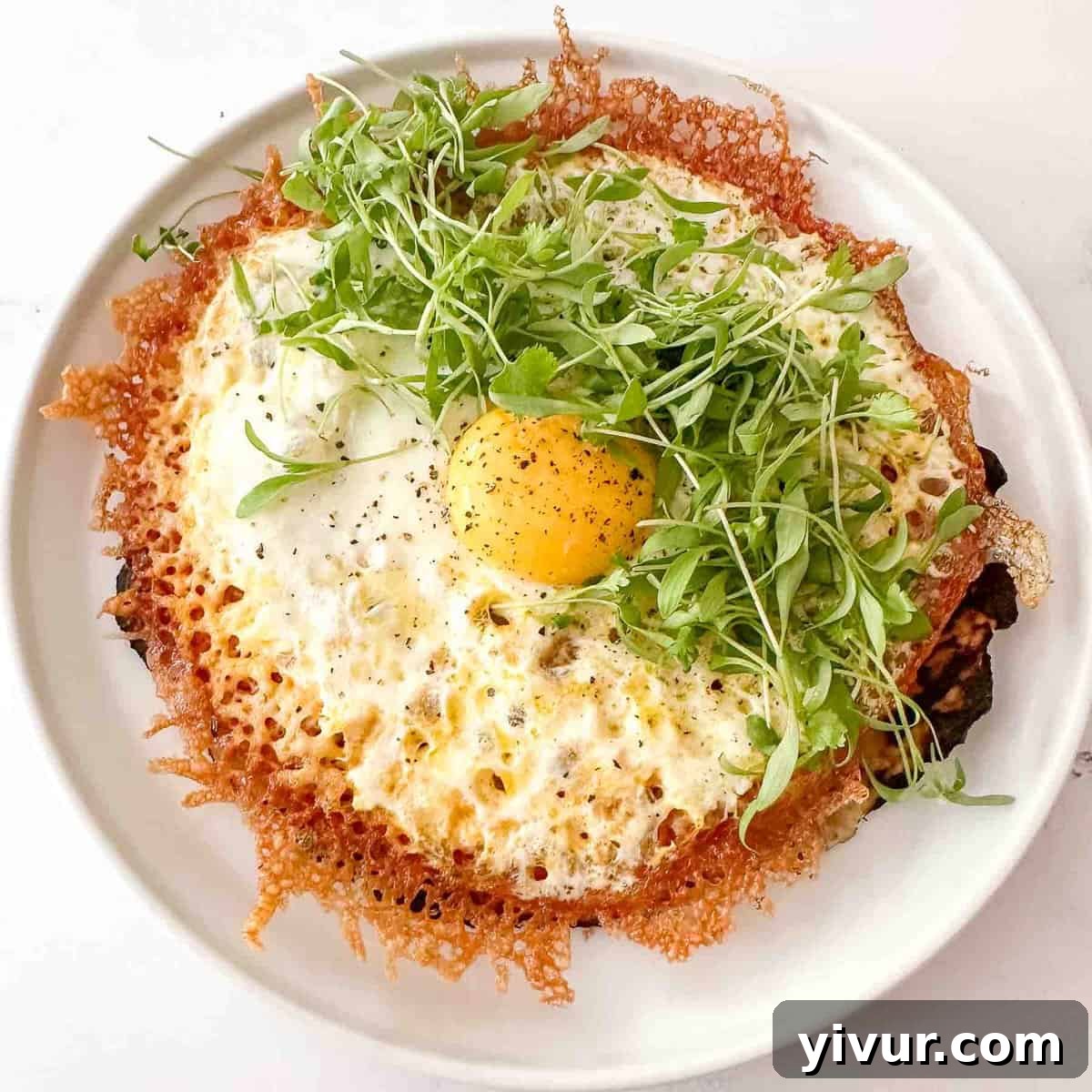 An overhead shot of a flat crispy fried egg taco generously topped with vibrant microgreens, ready to be enjoyed.