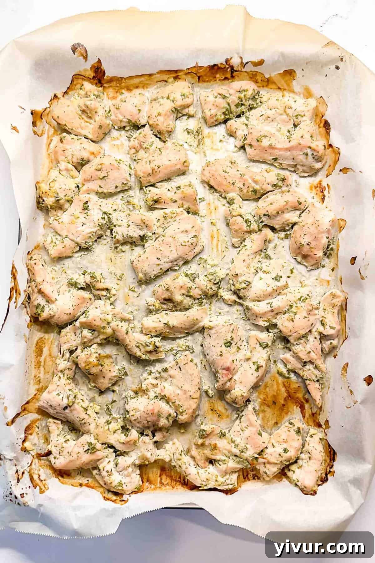 Golden brown Greek yogurt chicken baked on a parchment-lined sheet pan, garnished with fresh herbs, ready to be served.