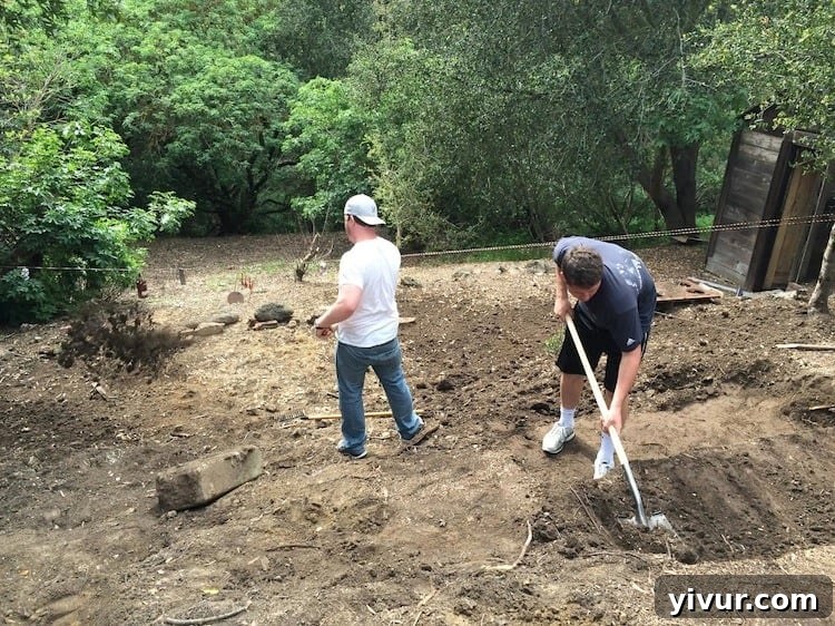 Terraced garden beds being constructed on a sunny hillside with wooden retaining walls and steps
