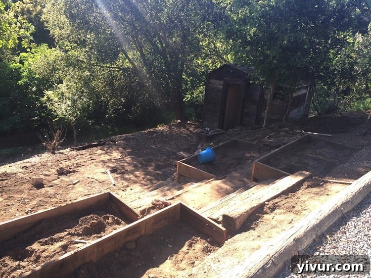 Progress shot of a terraced garden featuring reclaimed wood retaining walls and rustic railroad tie steps