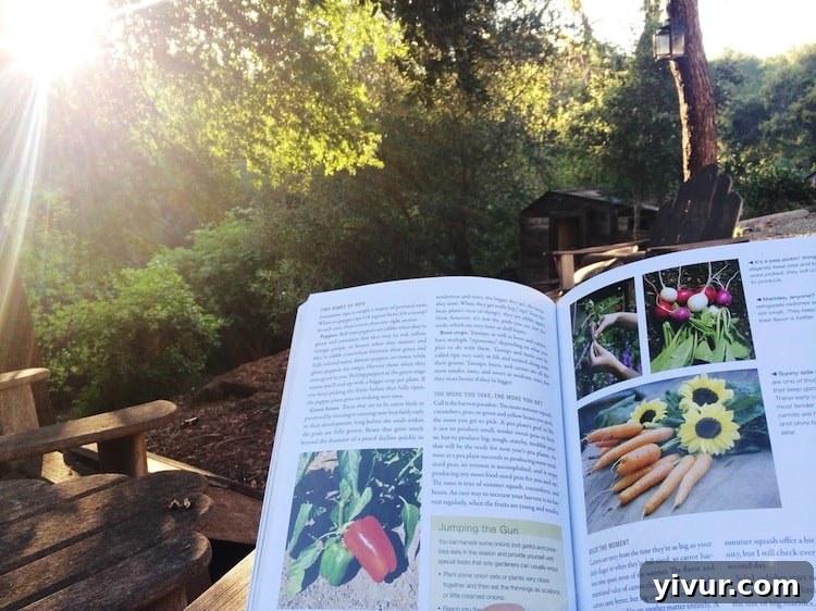 Person reading a gardening book outdoors, surrounded by nature and green plants