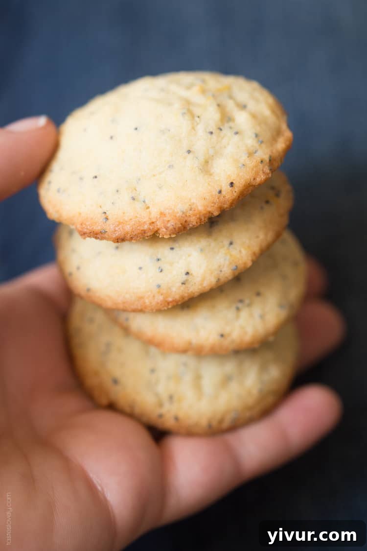 Zesty Lemon Poppy Seed Delights 2 Lemon Poppy Seed Cookies, a light and lemony sweet treat!